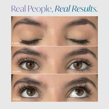 LiBrow Purified Eyebrow Serum
